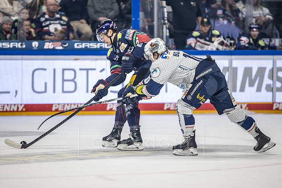 250103_pressefoto-gora_022