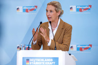 07.07.26_pressefoto-gora_061