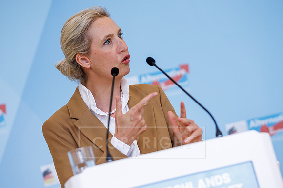 07.07.26_pressefoto-gora_054
