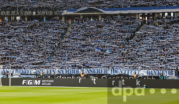 24.10.26_pressefoto-gora_0335