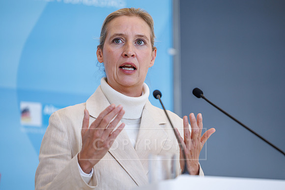 13.10.26_pressefoto-gora_0010