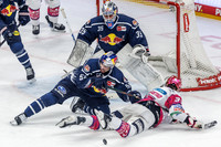 16.10.26_pressefoto-gora_0263