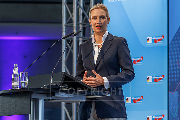 10.09.26_pressefoto-gora_036