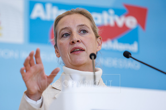 13.10.26_pressefoto-gora_0022