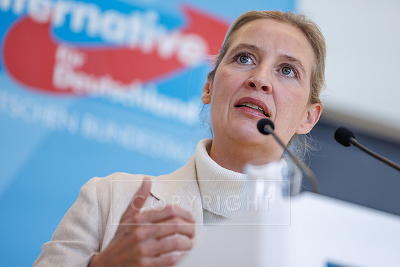 13.10.26_pressefoto-gora_0015