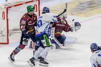 17.09.26_pressefoto-gora_0332