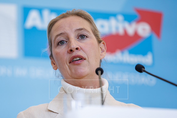 13.10.26_pressefoto-gora_0018