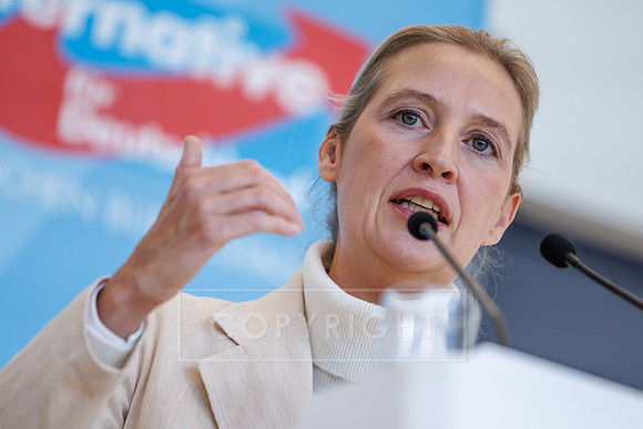 13.10.26_pressefoto-gora_0016