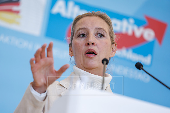 13.10.26_pressefoto-gora_0021