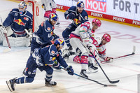 16.10.26_pressefoto-gora_0264