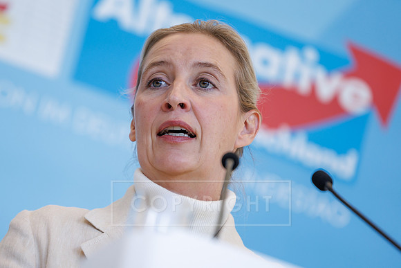 13.10.26_pressefoto-gora_0019