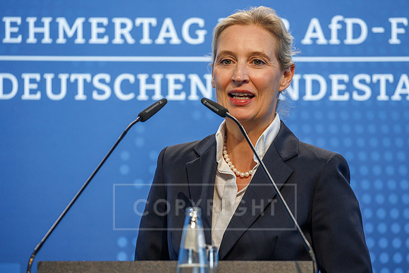 10.09.26_pressefoto-gora_042A