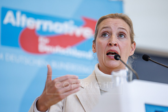 13.10.26_pressefoto-gora_0017
