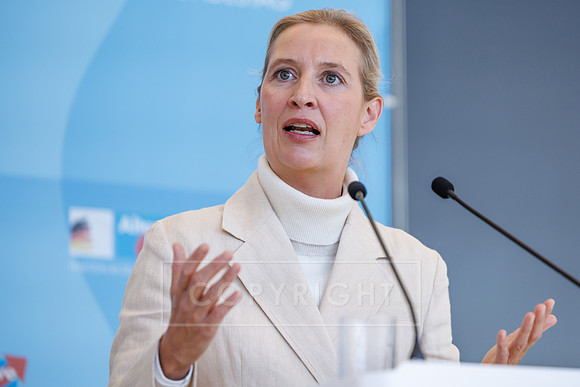 13.10.26_pressefoto-gora_0009