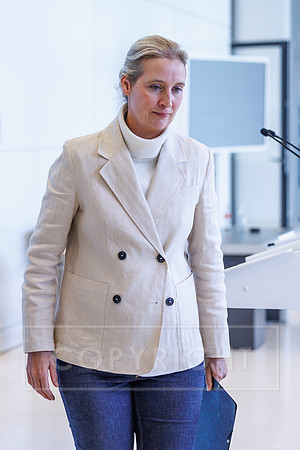 13.10.26_pressefoto-gora_0025
