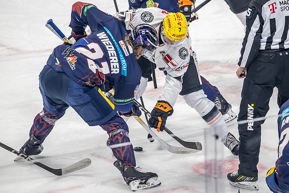 241220_pressefoto-gora_126