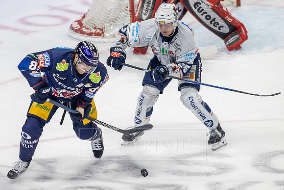 241124_pressefoto-gora_204