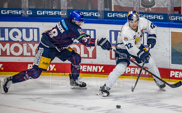 230203_pressefoto-gora_214