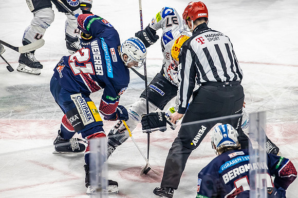 240423_pressefoto-gora_118