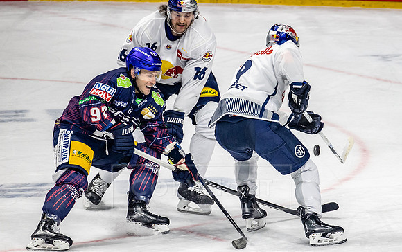 230203_pressefoto-gora_219