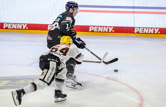 17.11.24_pressefoto-gora_0010
