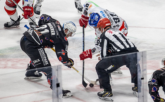 240216_pressefoto-gora_208