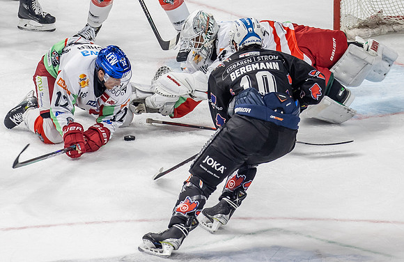 240216_pressefoto-gora_211