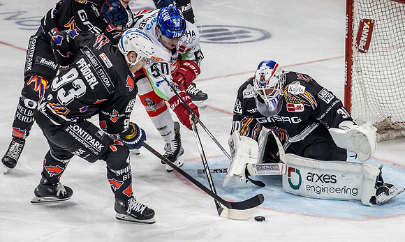 240216_pressefoto-gora_215