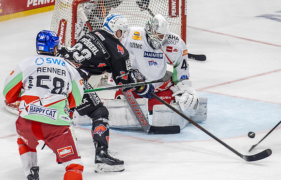240216_pressefoto-gora_229