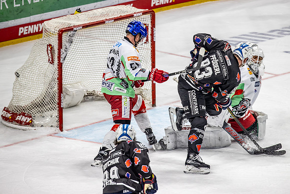240216_pressefoto-gora_233