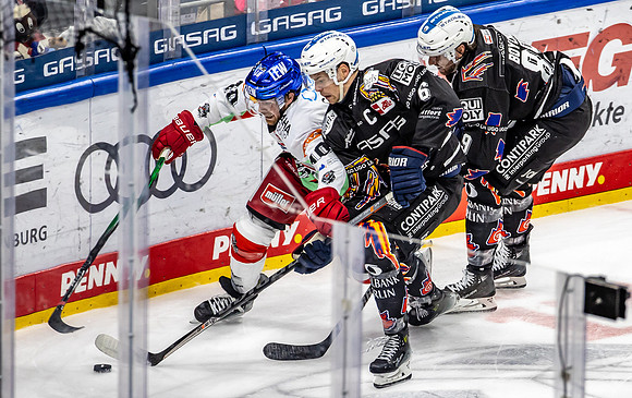 240216_pressefoto-gora_236