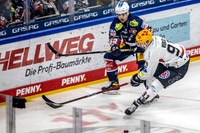 240308_pressefoto-gora_004