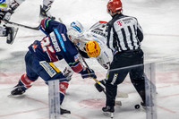 240308_pressefoto-gora_006