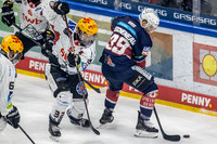 240308_pressefoto-gora_010