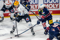 240308_pressefoto-gora_013