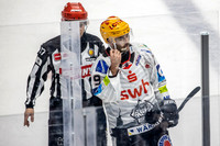 240308_pressefoto-gora_016