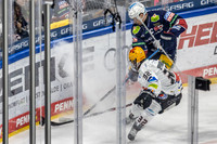 240308_pressefoto-gora_018
