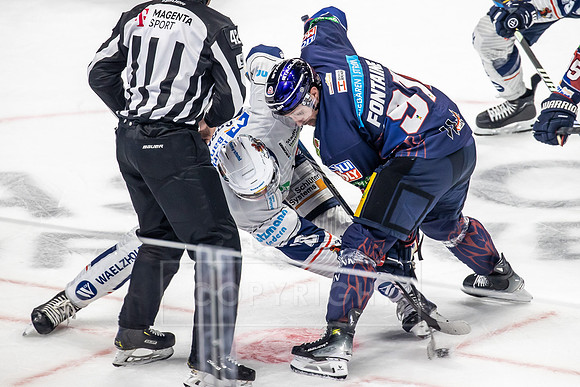 241124_pressefoto-gora_201