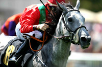 Grand Prix Festival Meeting 13 August