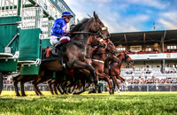 31.10.21 Renntag in Hoppegarten