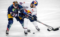 14.01.22 Eisbären Berlin - Red Bull München