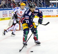 08.03.20 Eisbären vs  Fischtown Pinguins Bremerhaven