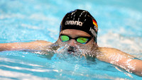 2017 FINA airweave Swimming World Cup