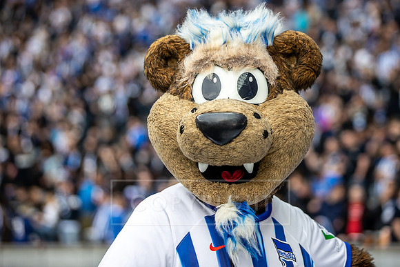 240412_pressefoto-gora_009