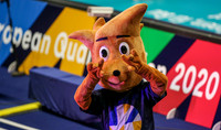05.01.20 SLO vs BEL Olympia