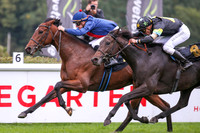 03.10.19 Tag der Deutschen Einheit Renntag Hoppegarten