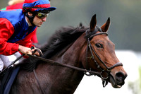 14.10.2017  Renntag in Hoppegarten