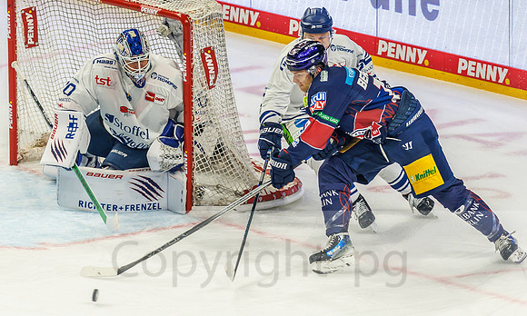 16.03.25_pressefoto-gora_0609