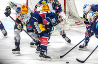 19.04.24 Eisbären Berlin - Pinguins Bremerhaven