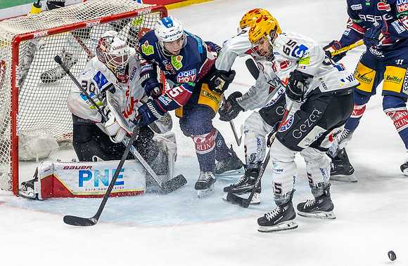 240419_pressefoto-gora_043